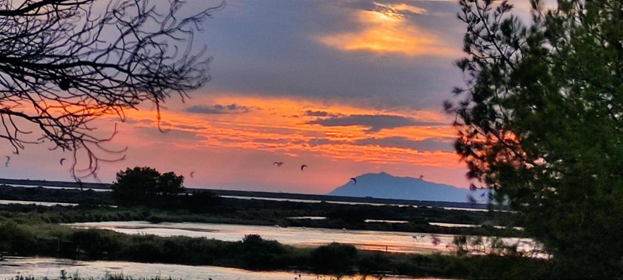Suite Avec Tropezienne Vue Mer Hyères Екстериор снимка
